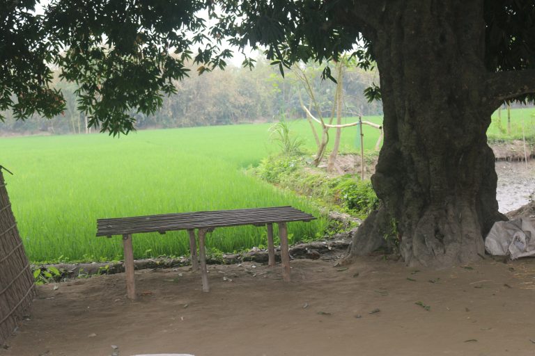 ভেবে চিন্তে খাই অপচয় কমাই !!