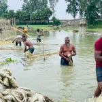 সোনালি আঁশে ফিরছে কৃষকের  আস্থা ॥ বেড়েছে পাটের আবাদ